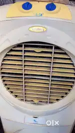 Symphony siesta cooler