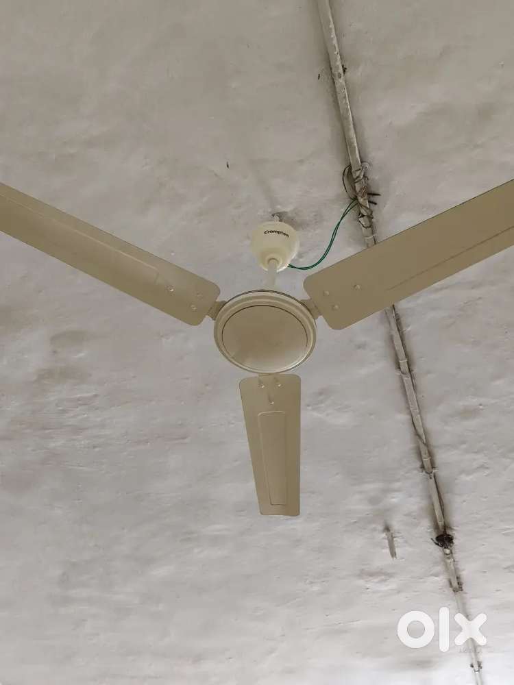 New condition fan