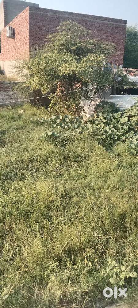 गोवर्धन में 100 वर्ग परिक्रमा के किनारे 100 मीटर अंदर है