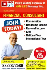 Financial consultant
