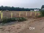 Plots near Pottipadu. 1km from ORR