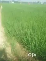 Market  se najdik santa land hai  bijali Pani ki purii byavtha hai i