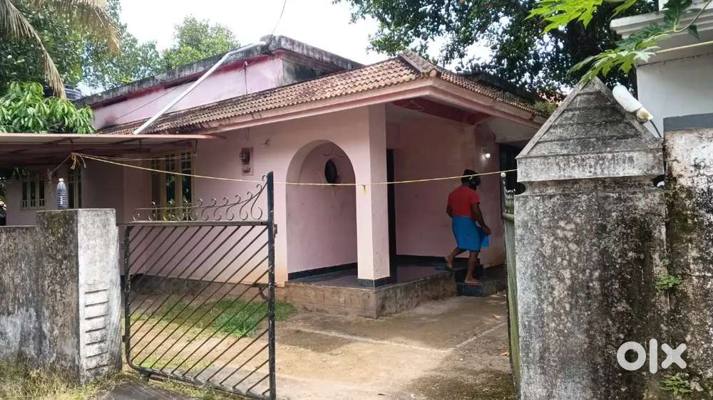 2bhk independent house for rent at aluva muppathadam