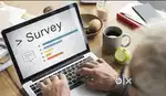 Survey officer