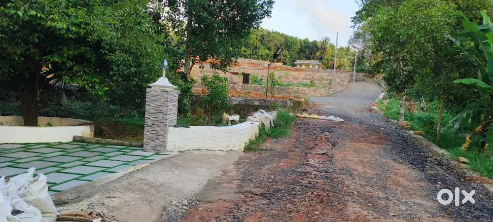NEAR ANGAMALY ST.MARY'S CHURCH ELAVOOR 4,5,6,10 CENT PLOTS AVAILABLE