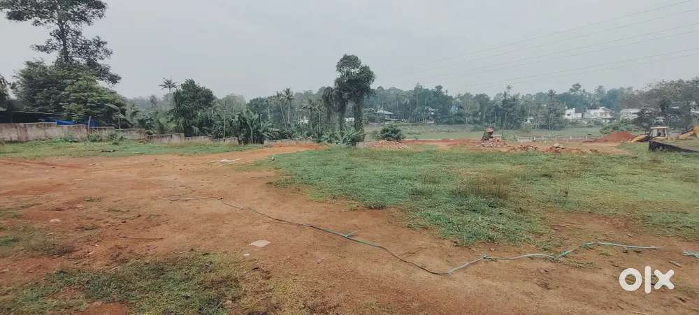 Palikkara near infopark parakood plots for sale 4..5..6.. Cent villa