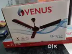 Venus Ceiling fan