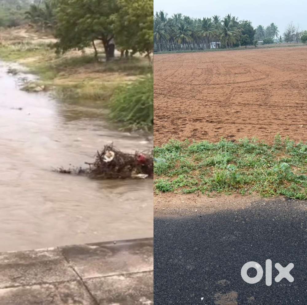 River side agriculture land sale