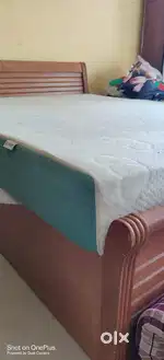 Sunday Ortho Latex 4 Mattress (Queen size)