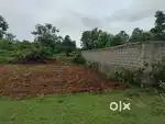 Plot for Urgent sale
