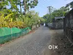 8Cent Purayidam Land Near Kongorpilly Karingamthuruth