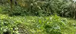 Neil Island Land for sale Single patta 500 sq mtrs. (House site)