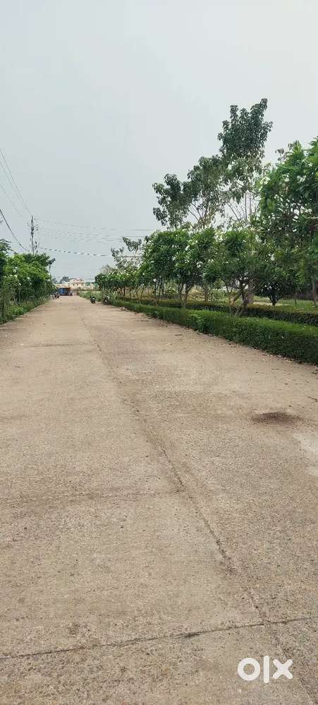 Plot Available At Raipur Road T&C Approved Project
