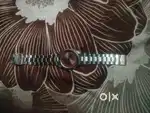 Titan watch