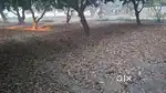BUY: Residential plot in Padrauna City, Kushinagar