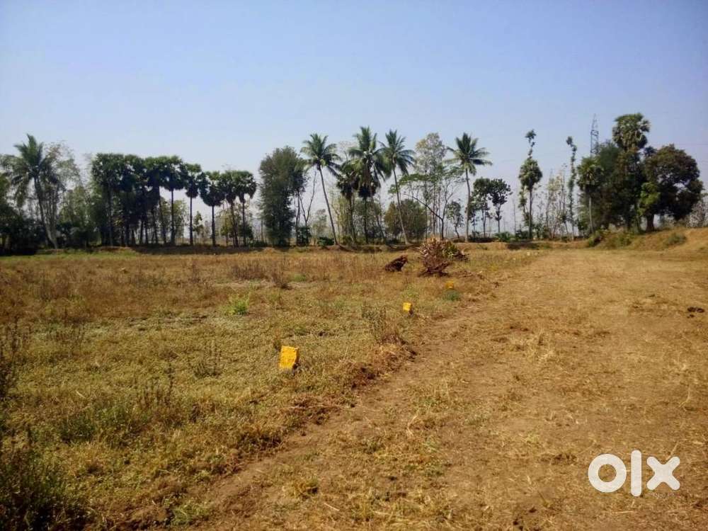 Low cost Land for sale adjacent to Bobbili paravathipuram Highway road