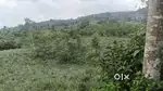 1.12 acre - kayanadu ooramana road-muvattupuzha