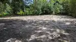 17.5 Cent Land in Cherthala near KVM Hospital