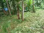 6.36 Cnt land near Ganapath School chala param, Kozhikode