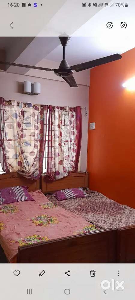 Best female pg near netaji metro , tollyguange near netaji nagar bus