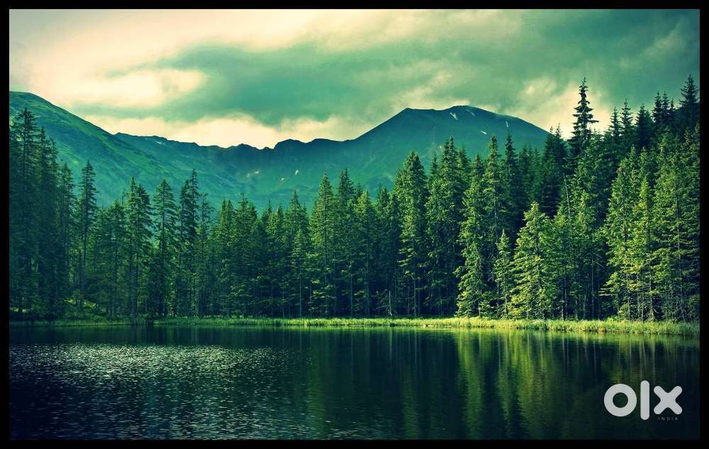 For Trading Shop need a worker