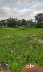 Ploat for sell in Radhe Acres, Shela
