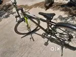 Mach City Munich 700X35C, Single Speed Rigid Type, 19'' Steel Frame