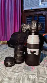 Canon R6 mirrorless