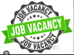 Looking for female assistant