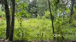 Land which can be used for agriculture and housing