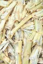 Sugarcane bagasse