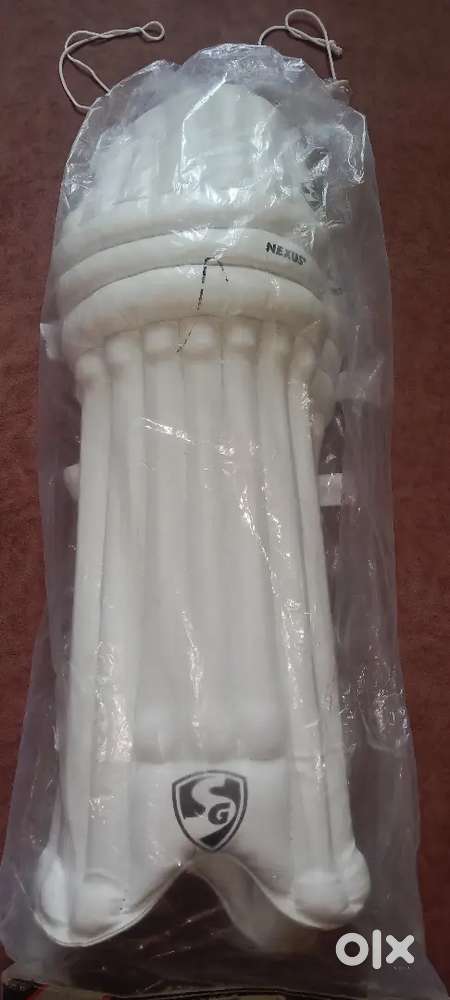New Sg nexus youth batting pads