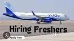 All airport jobs available in indigo airlines limited seats apply fast