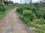1 Acre Dry Land for Sale in Kalpetta