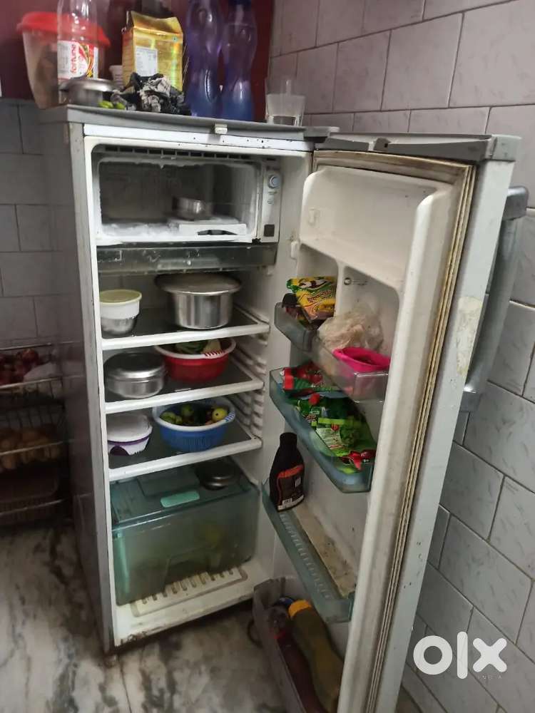 Fridge single door