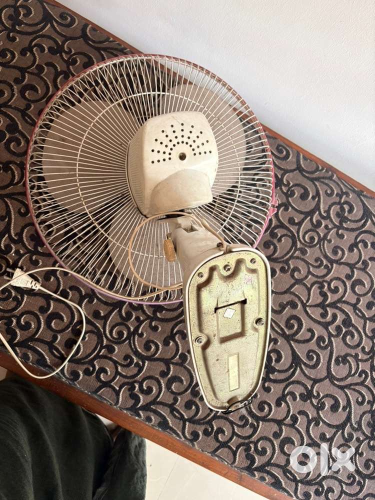 Wall mounted fan