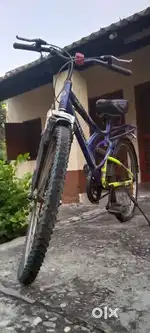 20 inch cycle