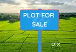 Berhampura And phulbani kandhamal only plot sal And buy