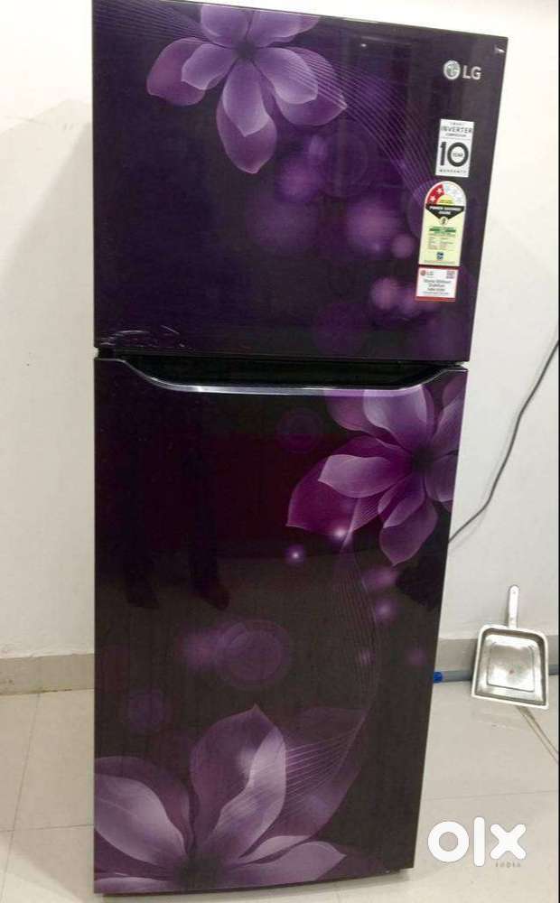 LG Double Door Fridge