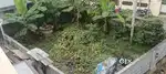 2 cent plot area in Road side
