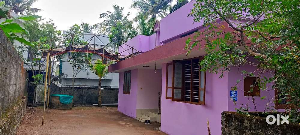 3 BHK INDIVIDUAL HOUSE FOR RENT