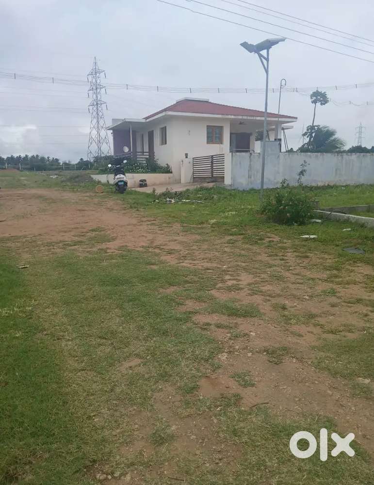 தேக்கு மரங்களுடன் கூடிய பண்ணை நிலம்