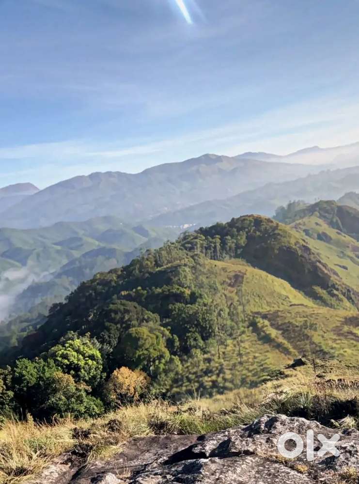 Munnar Lakshmi Top 304 cent 1988 Orginal Chambu pattayam Land for sale