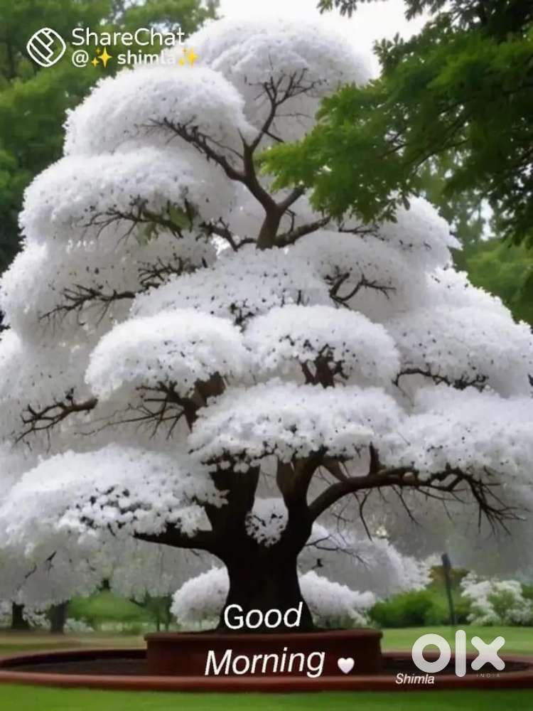 Staff needed for a taxi & tour operator