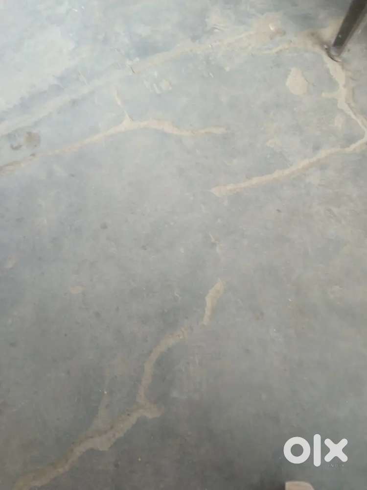 Room rent for family and boys   2 rooms 1 kitchen