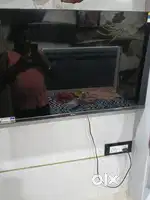 On spilt ac 2 ton ek perfect condition hai compresser ki 3 years kib