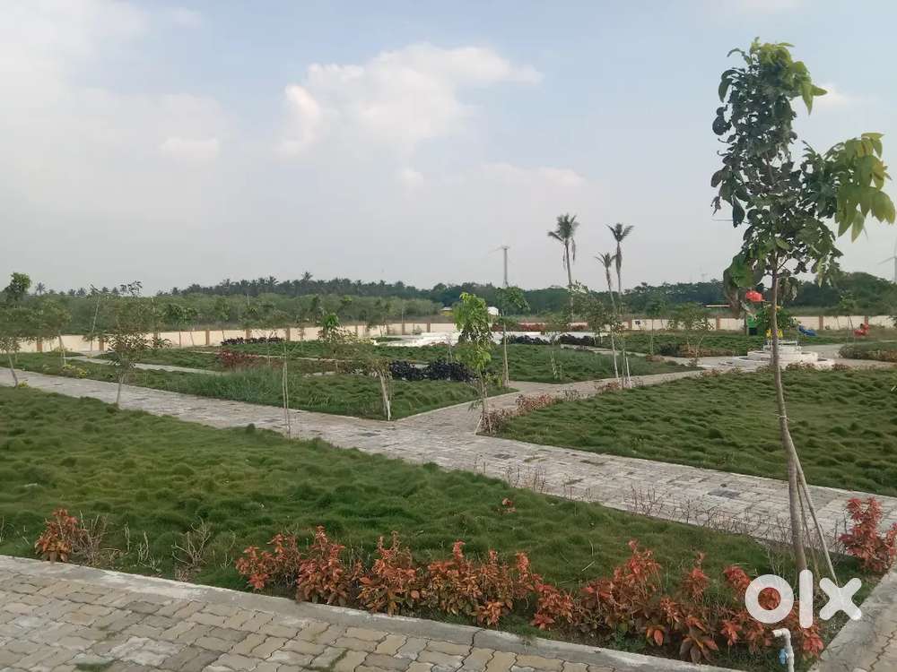 Dtcp site pappampatti school, college,near buy site