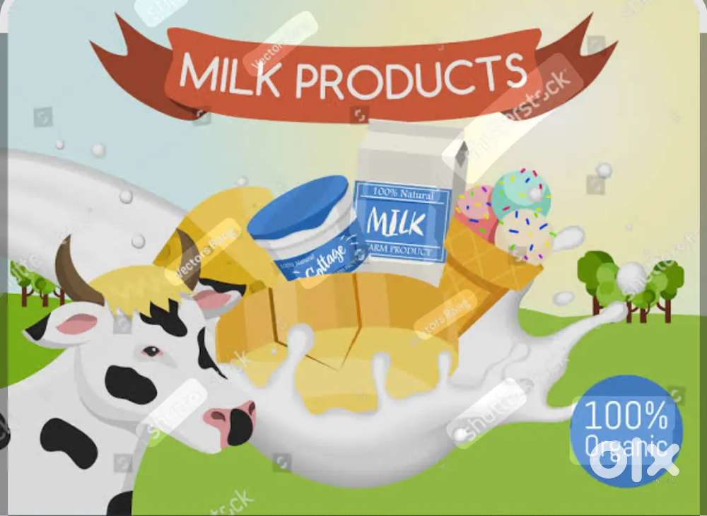 दूध डेयरी में कार्य करने हेतु जानकार व्यक्ति की आवश्यकता है