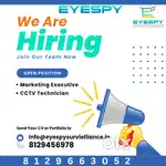 Cctv technician and sales executive