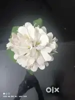 Flower with vase